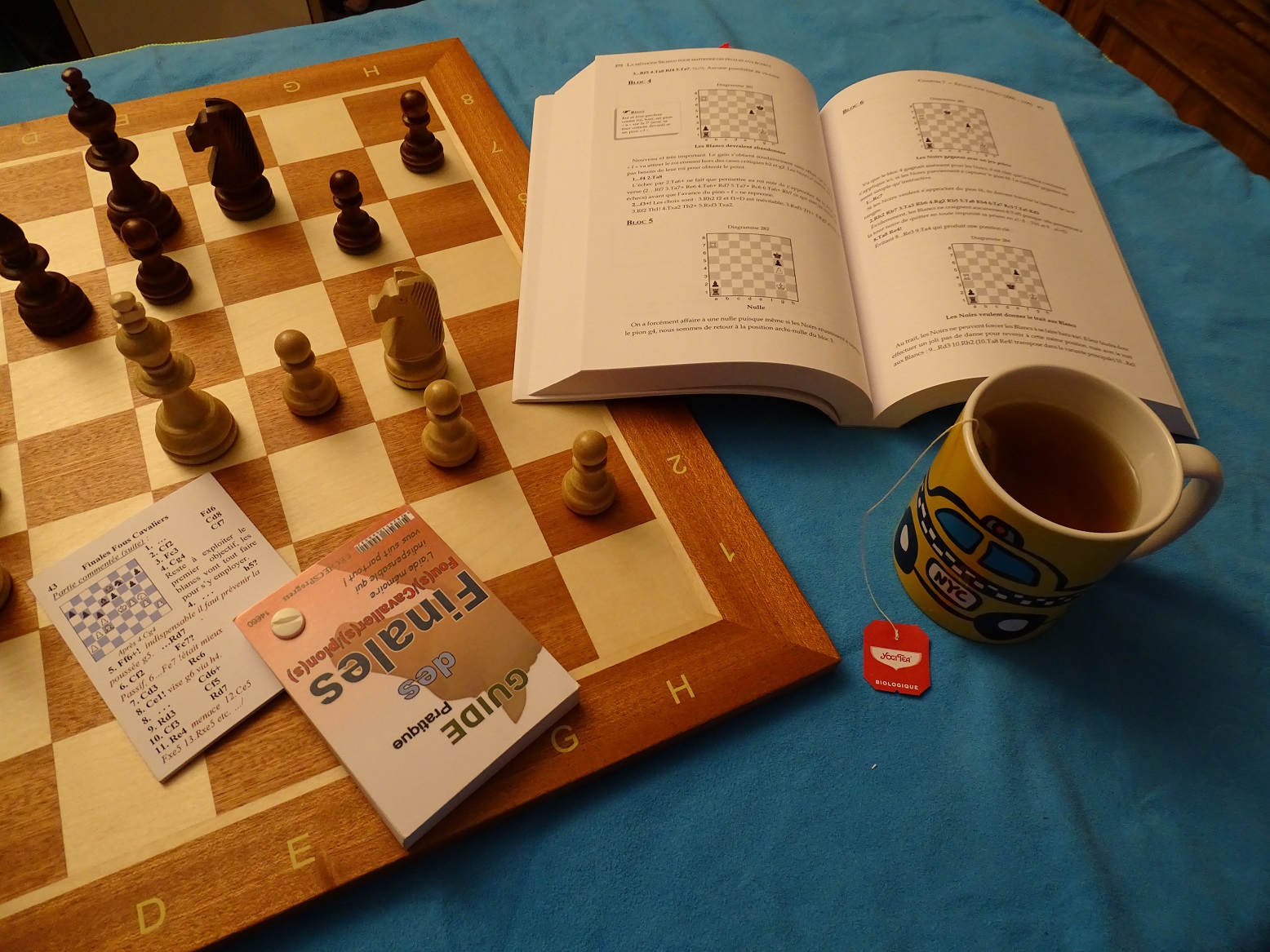 Chess books and chessboard